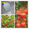 Hormônio de planta agroquímica Bnoa 98% Tc para definição de frutas